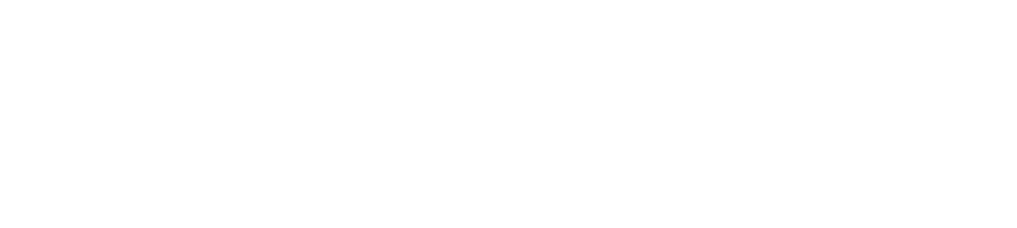 diy handy sam services ltd logo upscaled white